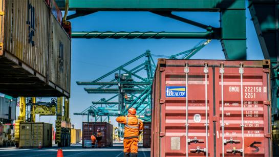 Extra inspraak nog voor start onderzoek voor Containercluster Linkerscheldeoever in havengebied Antwerpen